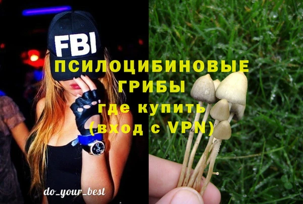 дмт Абдулино